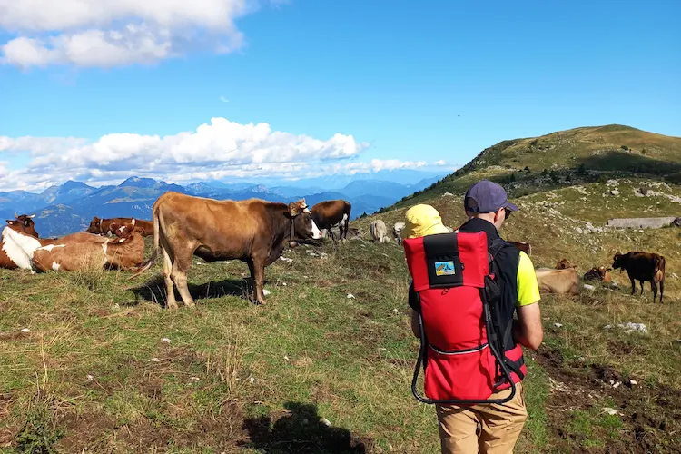 Trekking con zaino porta bimbo in montagna