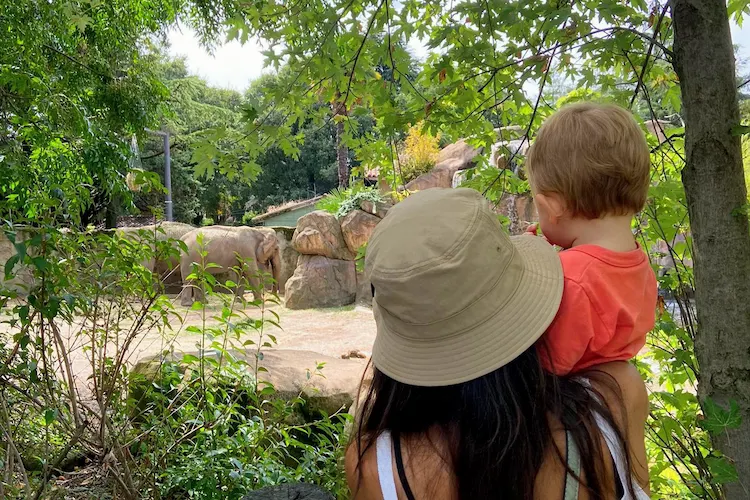 Visita allo zoo le cornelle con bambini