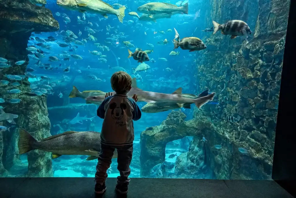 Visita all'acquario di San Sebastian con bambini