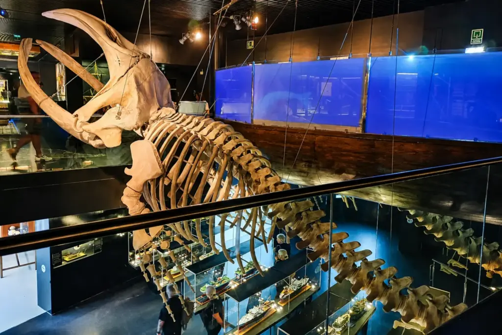 Visita all'acquario di San Sebastian con spazi accessibili con passeggino